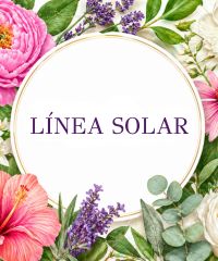 L&iacute;nea Solar